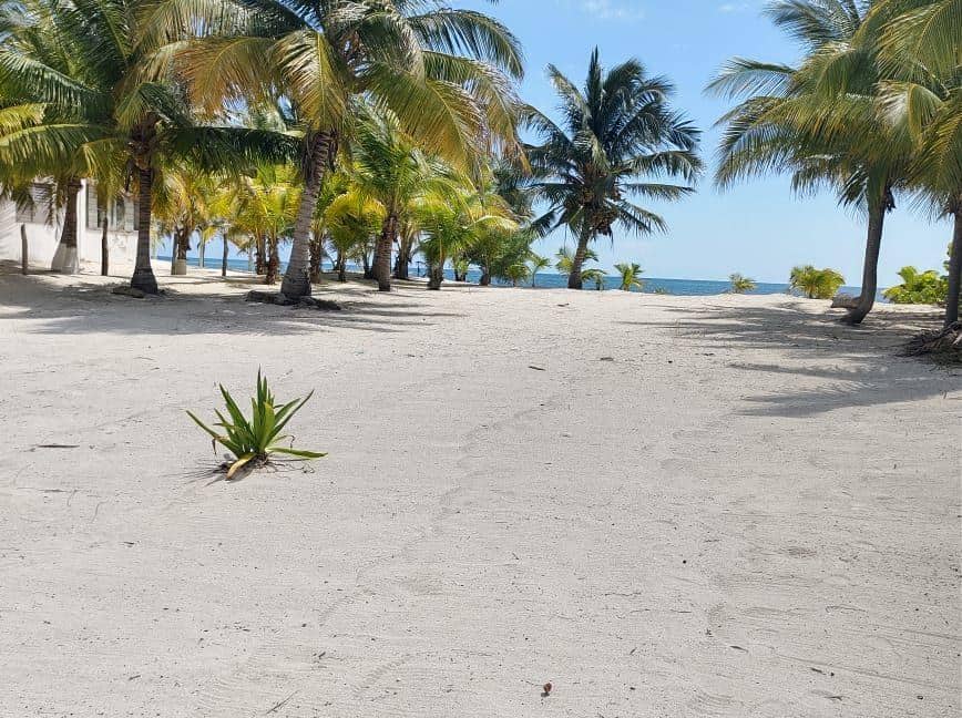 Cleared Beach Front Lot Costa Maya Realty